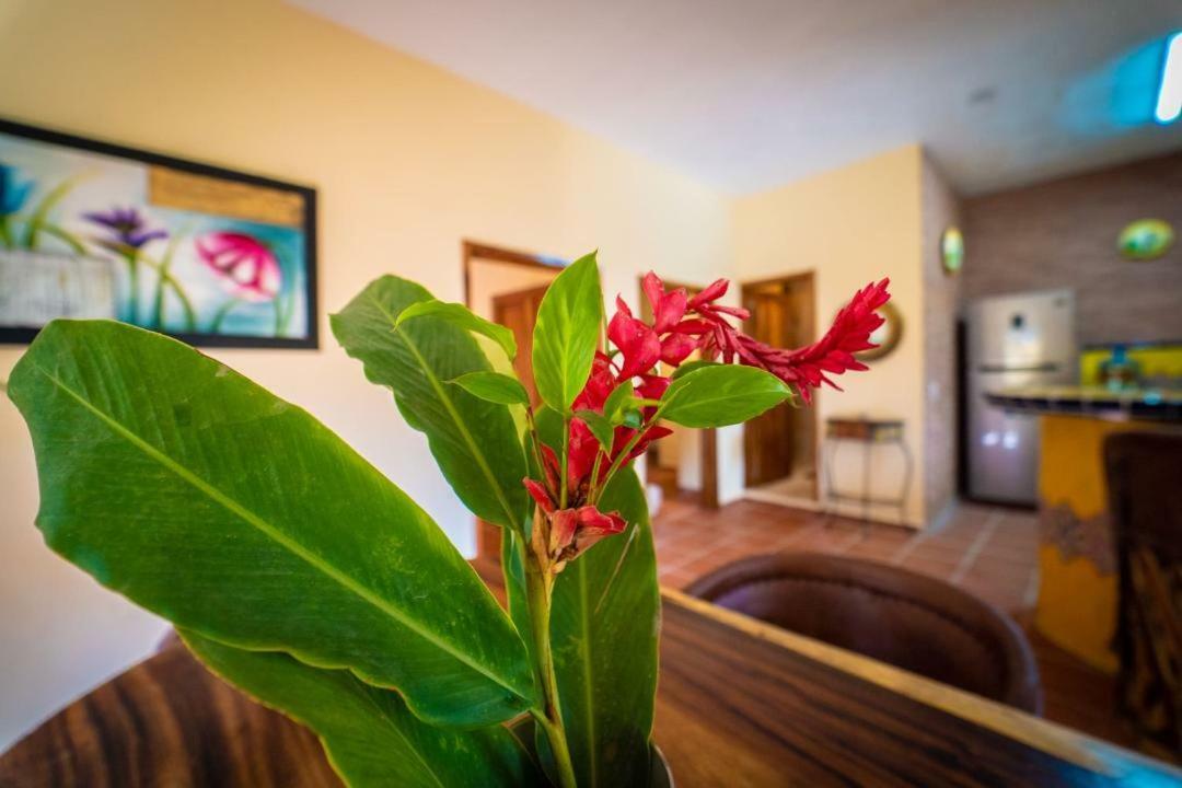 Casa Palmito Cerca De La Playa Villa Йелапа Екстериор снимка